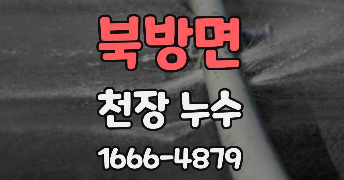 북방면 천장 누수