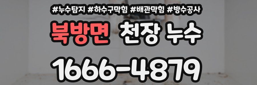 북방면 천장 누수