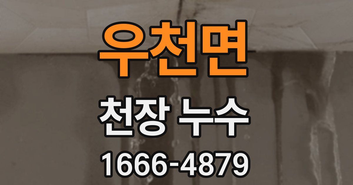 우천면 천장 누수
