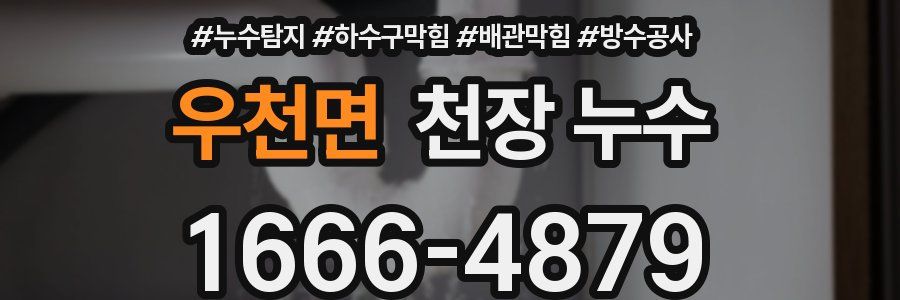 우천면 천장 누수