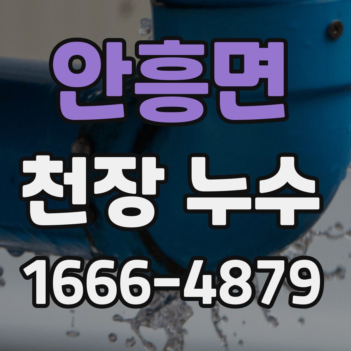 안흥면 천장 누수