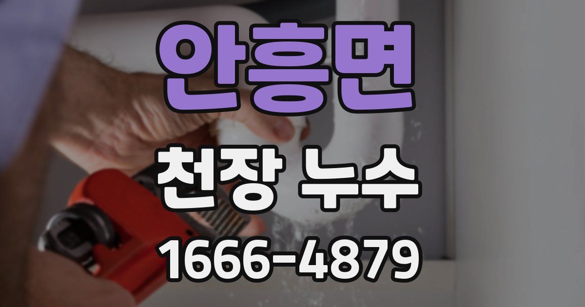안흥면 천장 누수