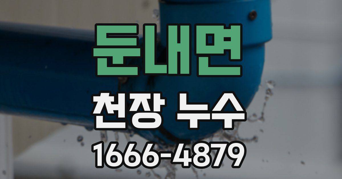 둔내면 천장 누수