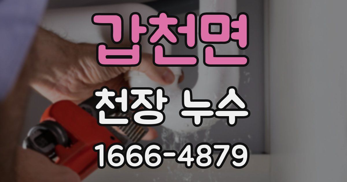 갑천면 천장 누수