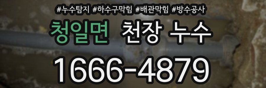 청일면 천장 누수