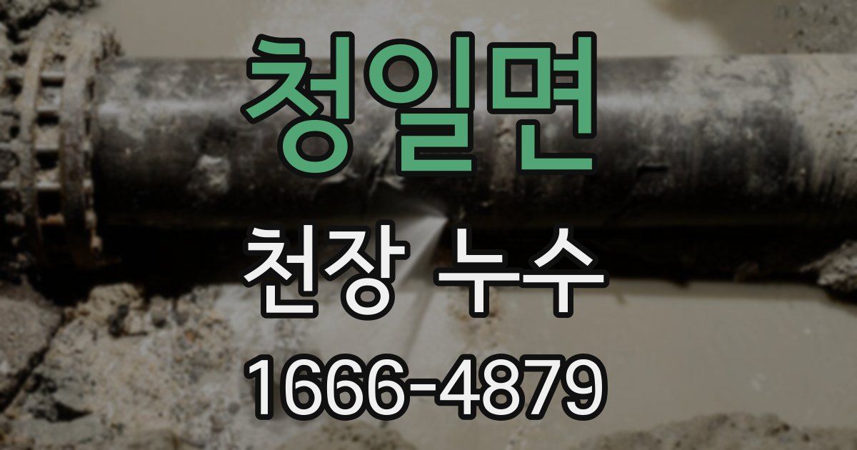청일면 천장 누수