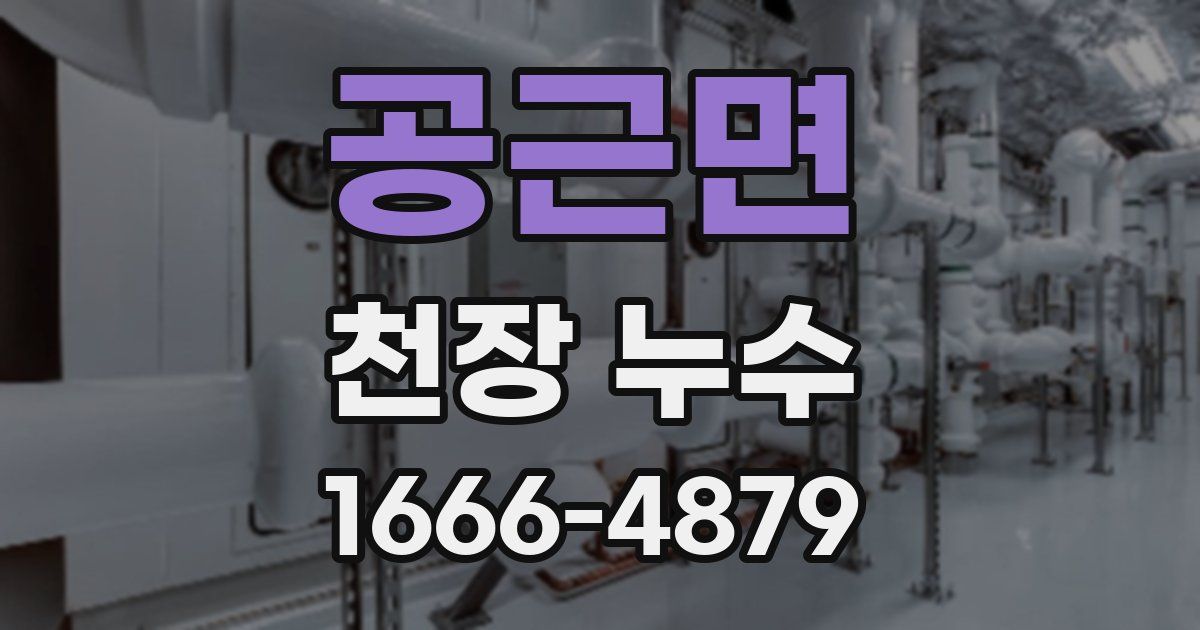 공근면 천장 누수