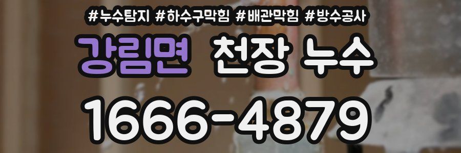 강림면 천장 누수