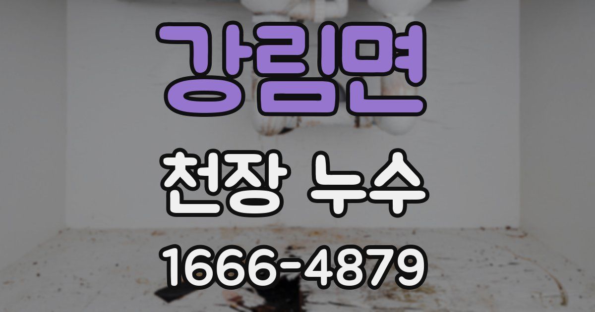 강림면 천장 누수