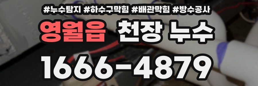 영월읍 천장 누수