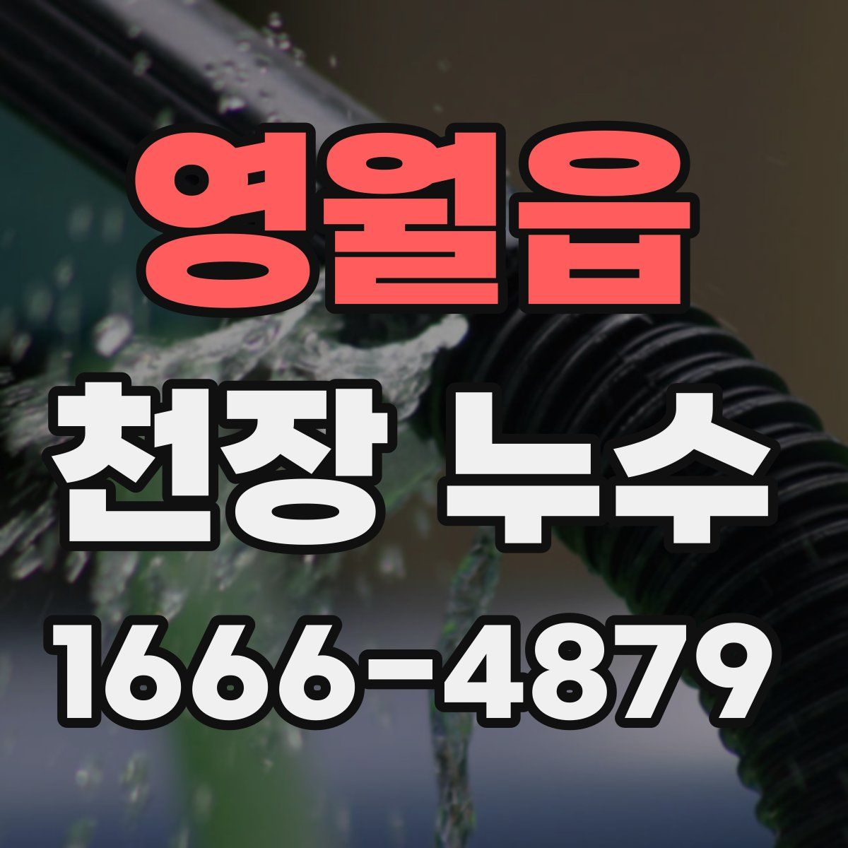 영월읍 천장 누수