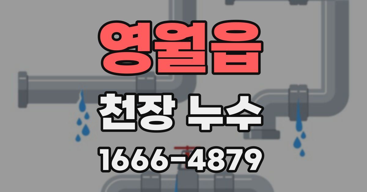 영월읍 천장 누수