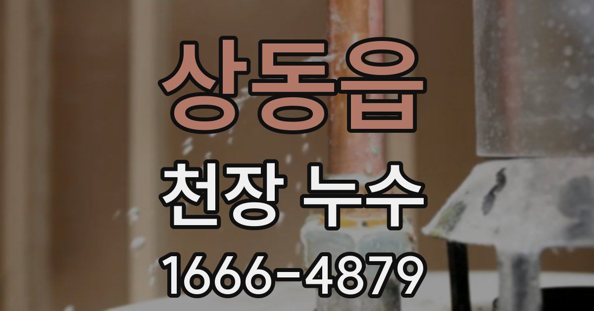 상동읍 천장 누수