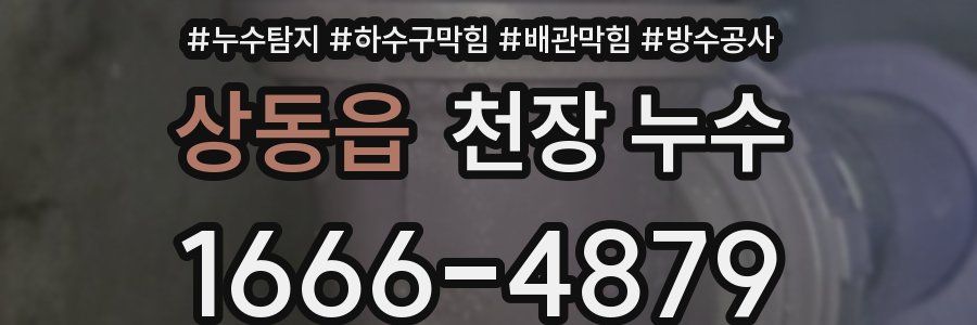 상동읍 천장 누수