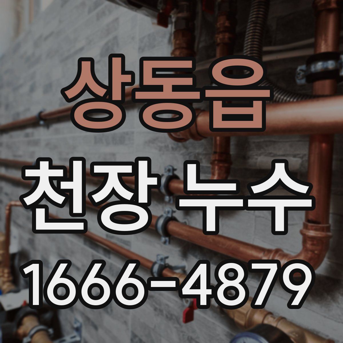 상동읍 천장 누수