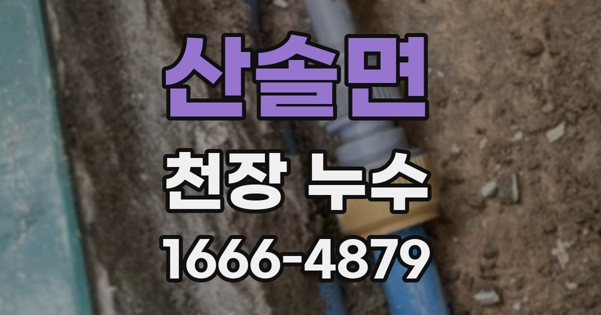 산솔면 천장 누수