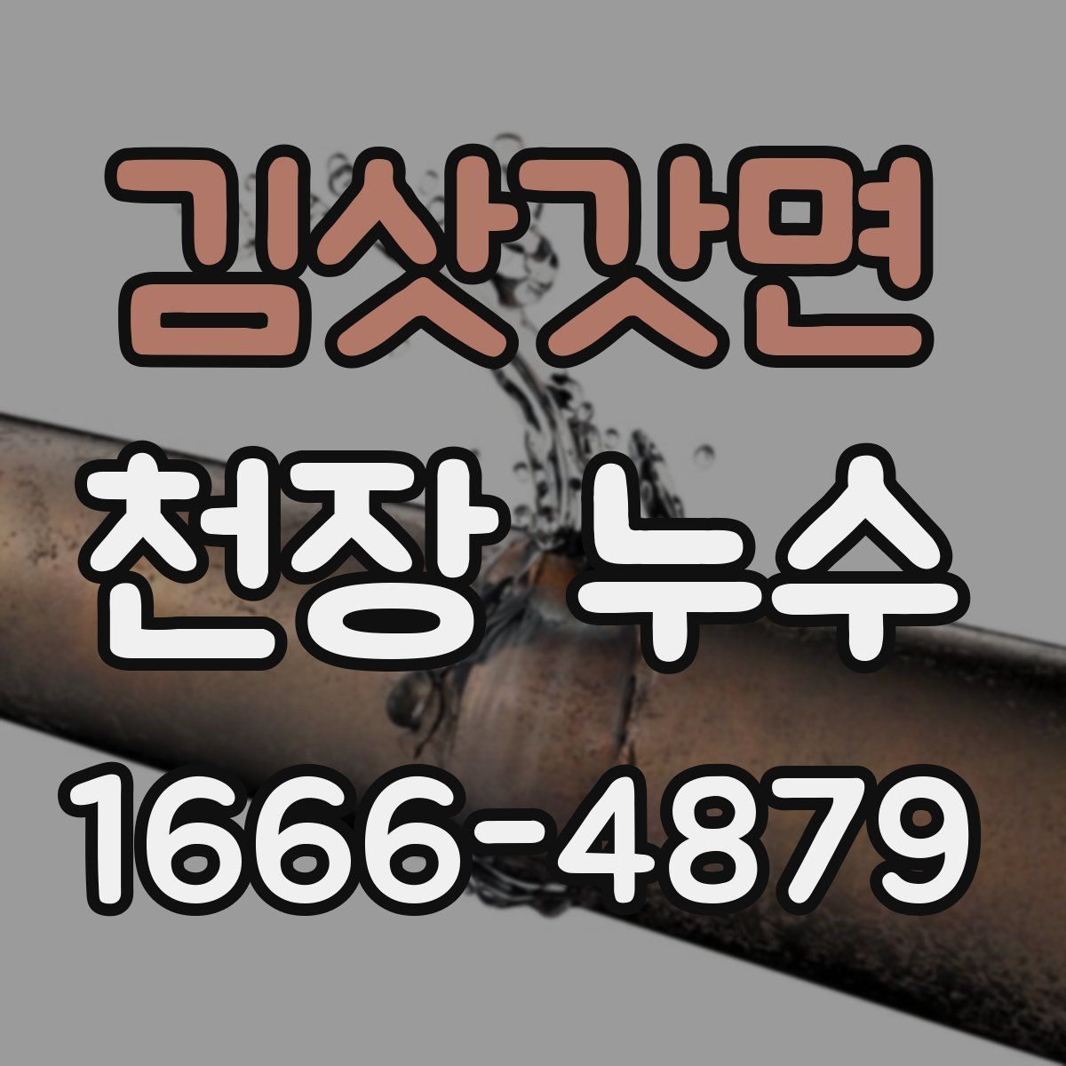 김삿갓면 천장 누수