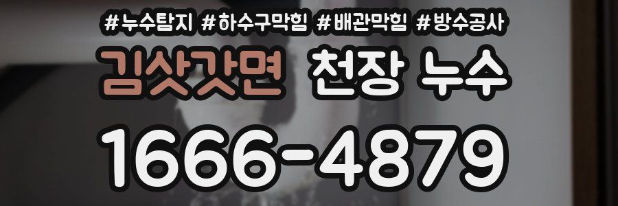김삿갓면 천장 누수