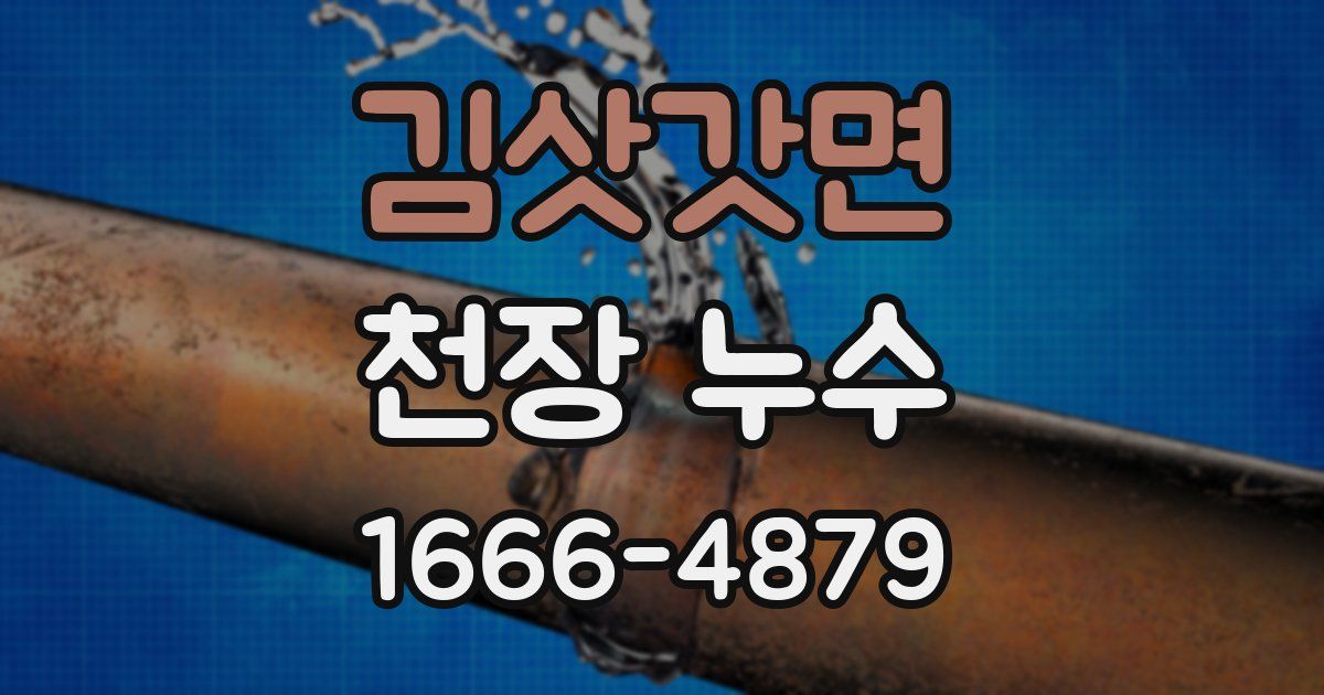 김삿갓면 천장 누수