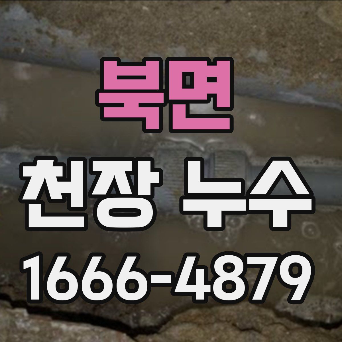 북면 천장 누수