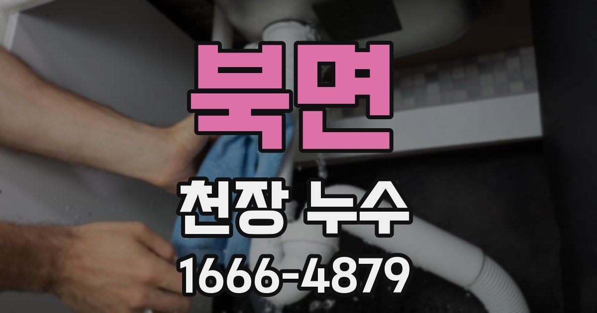 북면 천장 누수