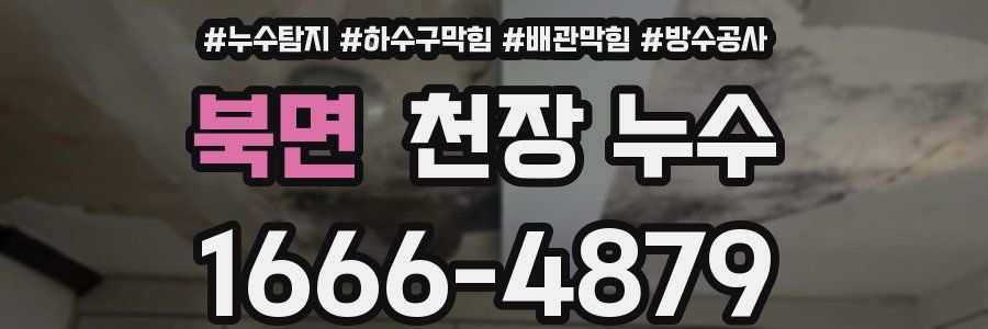 북면 천장 누수