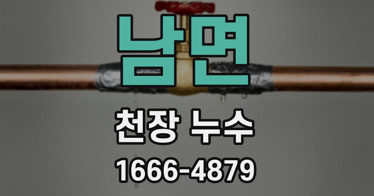 남면 천장 누수