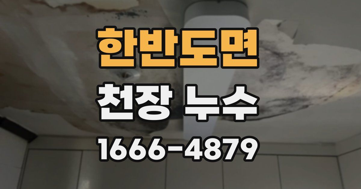 한반도면 천장 누수