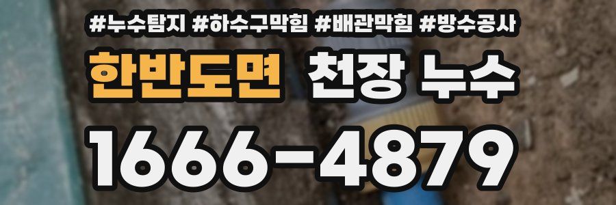 한반도면 천장 누수