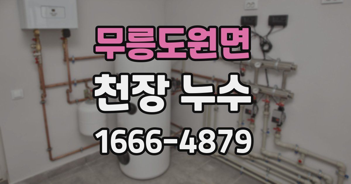 무릉도원면 천장 누수