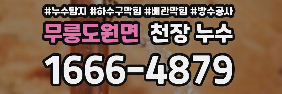 무릉도원면 천장 누수