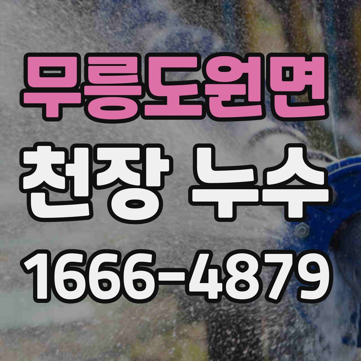 무릉도원면 천장 누수