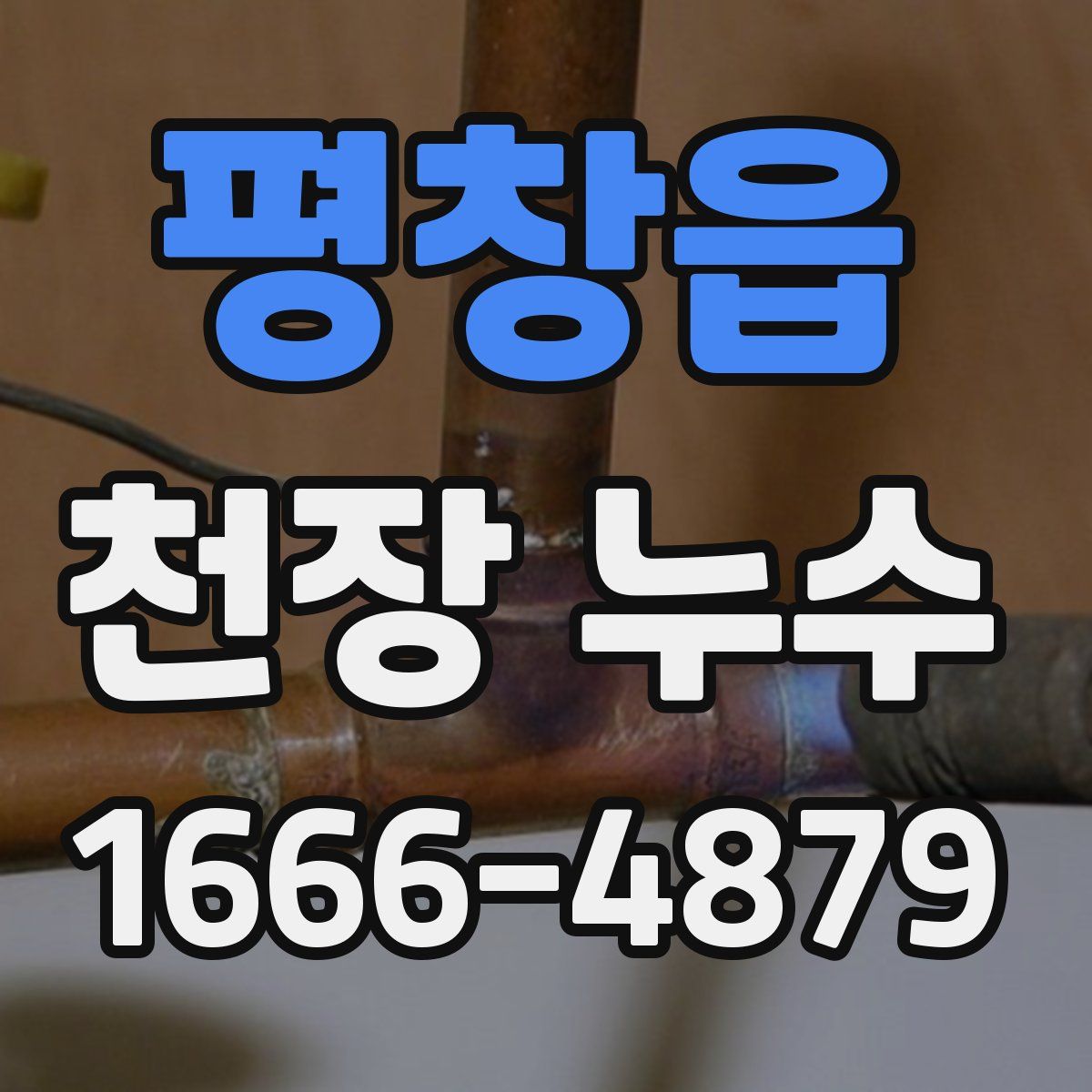 평창읍 천장 누수