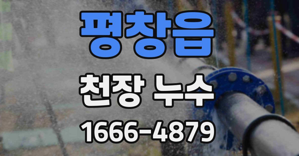 평창읍 천장 누수