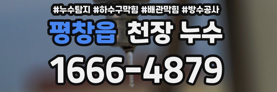 평창읍 천장 누수