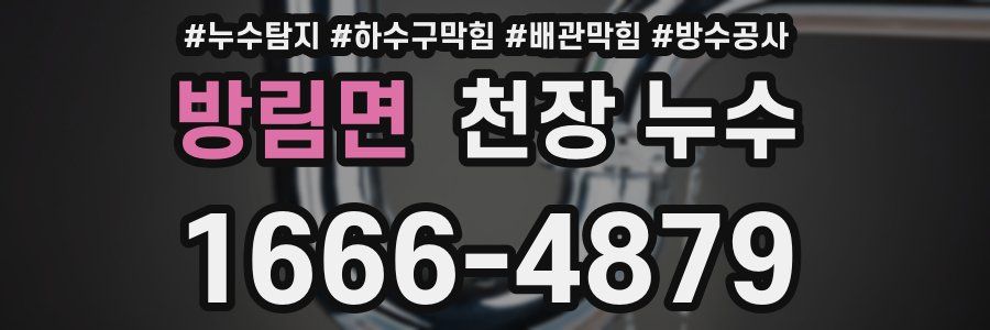 방림면 천장 누수