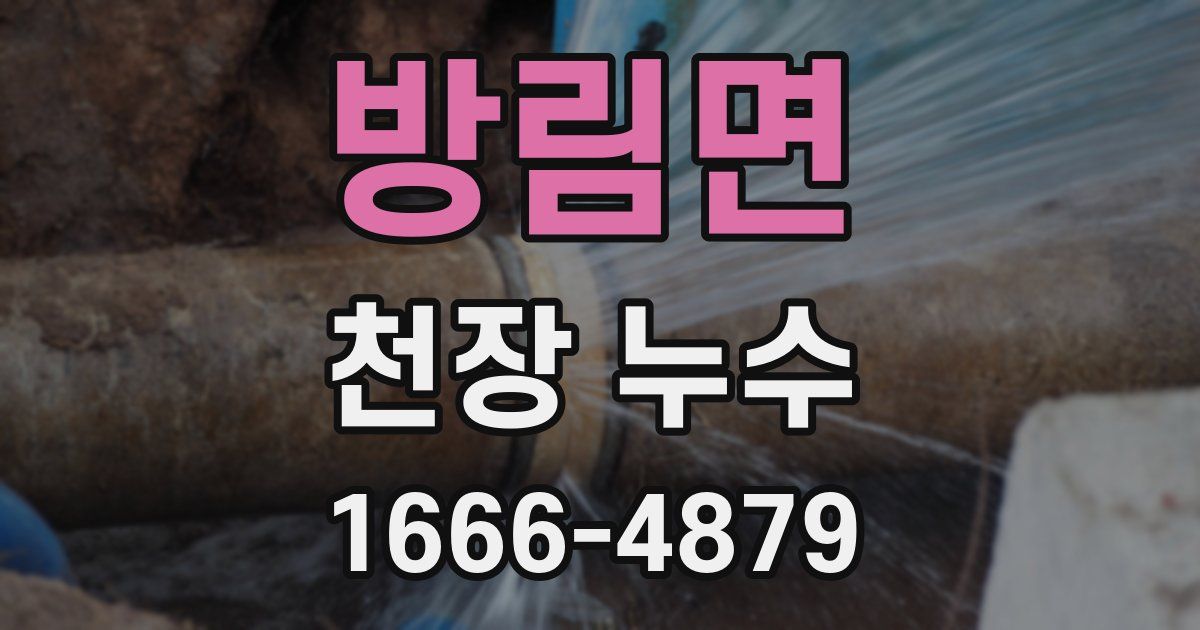 방림면 천장 누수
