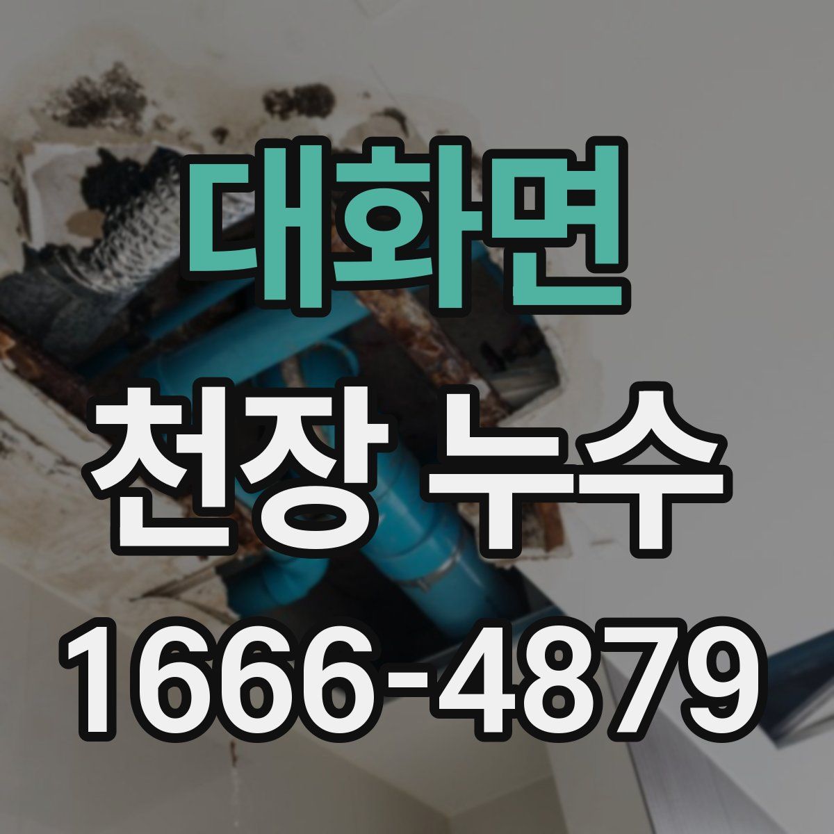 대화면 천장 누수