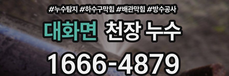 대화면 천장 누수