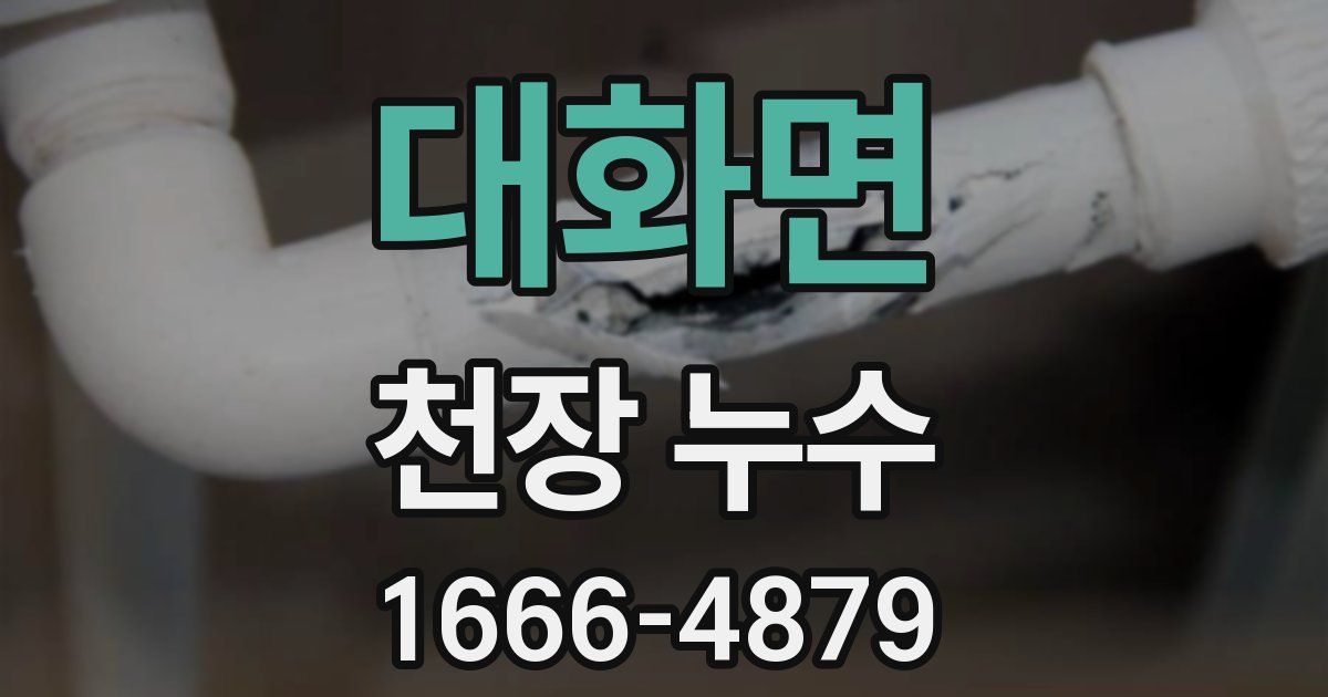 대화면 천장 누수