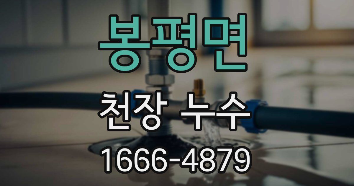 봉평면 천장 누수