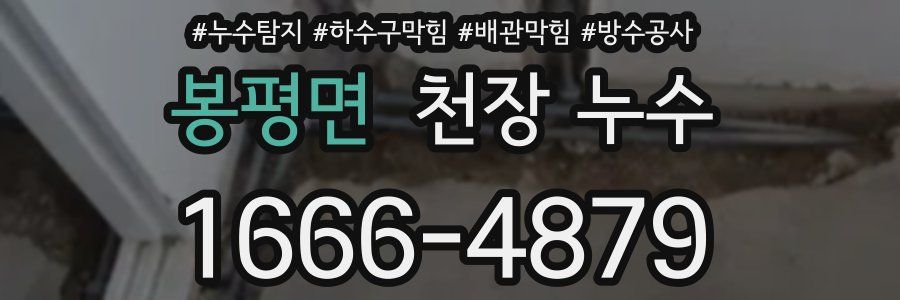 봉평면 천장 누수