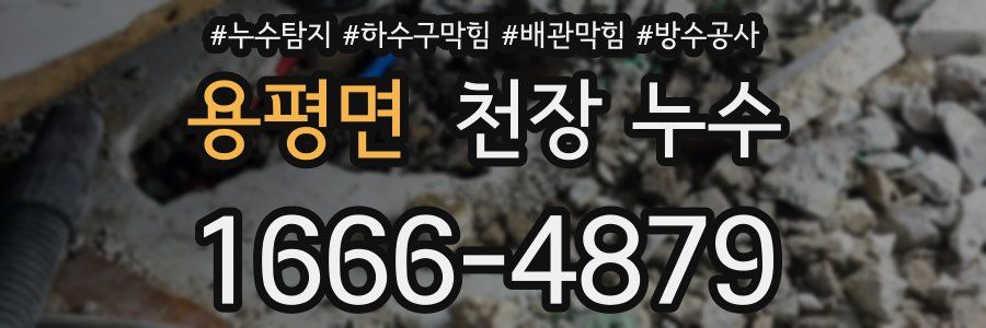 용평면 천장 누수