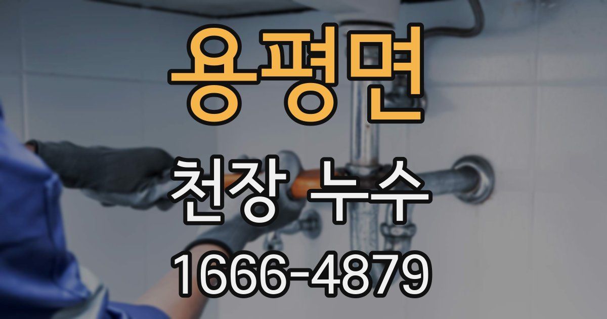용평면 천장 누수