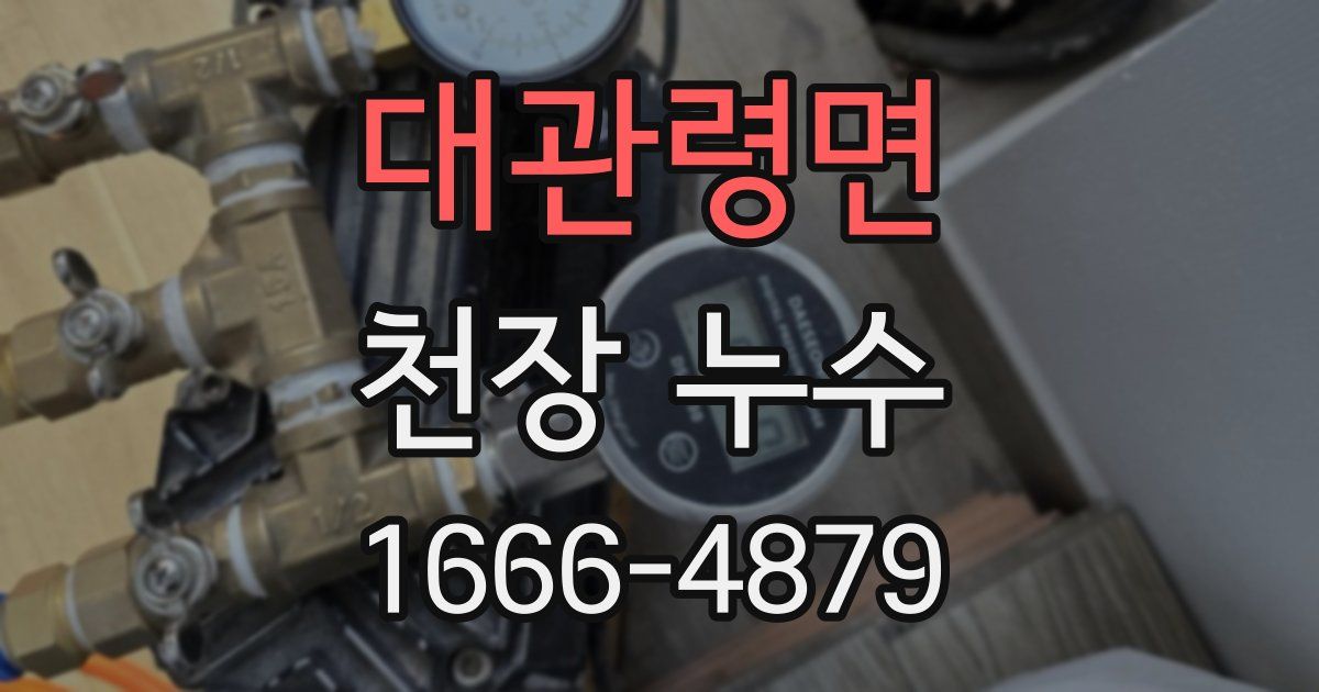 대관령면 천장 누수