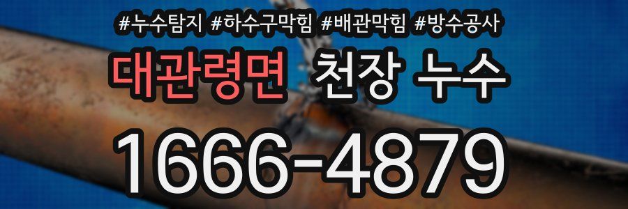 대관령면 천장 누수