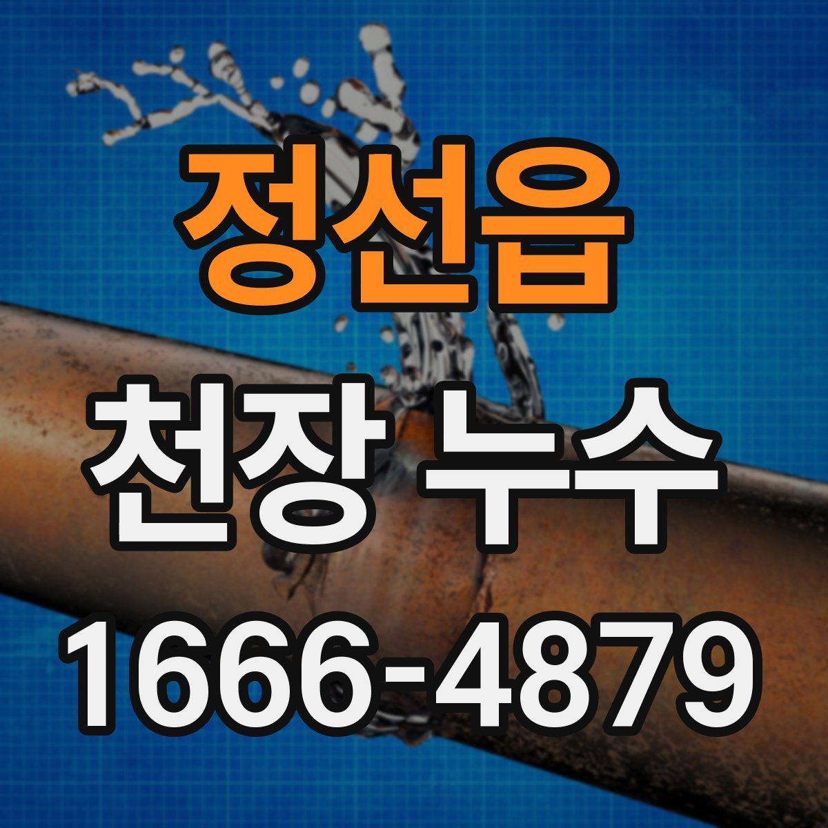 정선읍 천장 누수