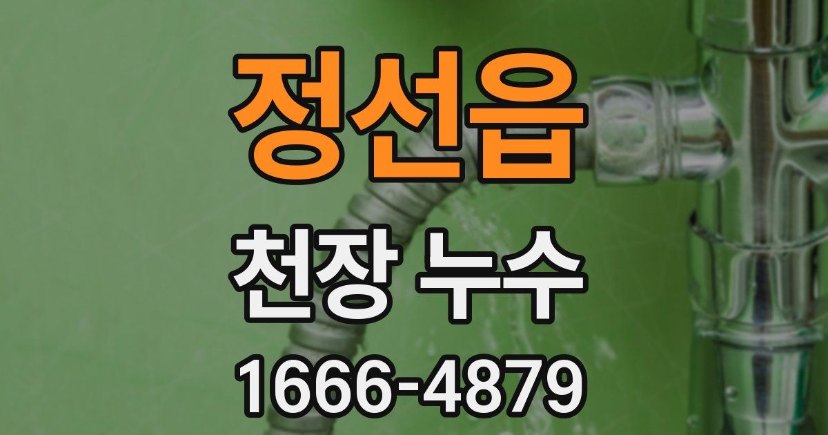 정선읍 천장 누수