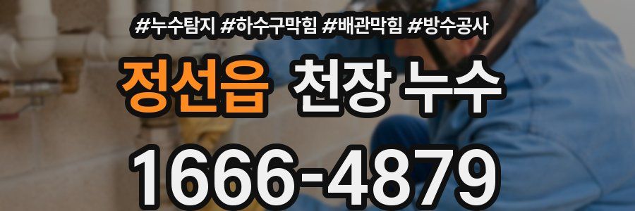 정선읍 천장 누수