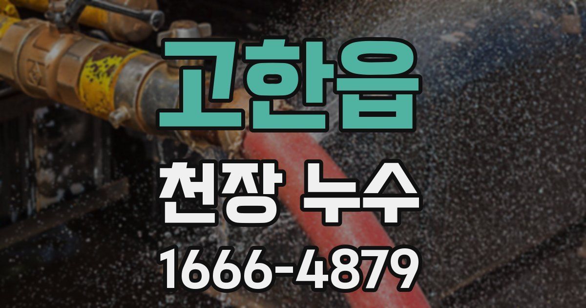 고한읍 천장 누수